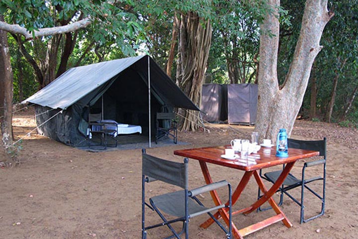 udawalawe_neel_jeep_safari_camping3